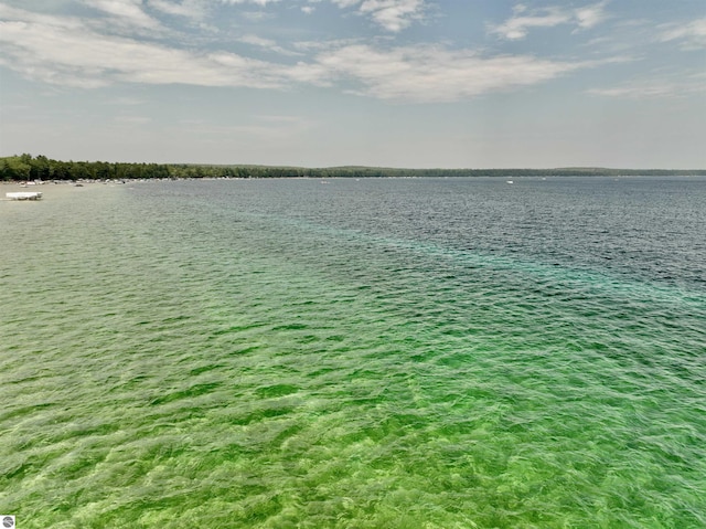 104 Haines Ave, Roscommon, MI 48653 - water view
