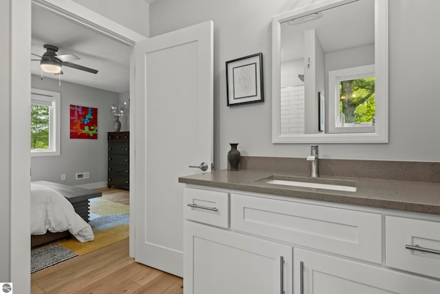 8906A Manhattan N Unit A, Traverse City, MI 49685 - bathroom with vanity, wood finished floors, and ceiling fan