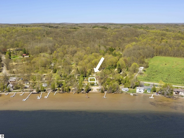 Herron Rd, Frankfort, MI 49635