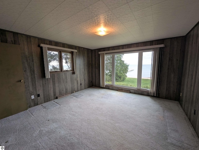 1082 S Sixth St, Au Gres, MI 48703 - spare room featuring a baseboard heating unit, wood walls, light colored carpet, and a water view