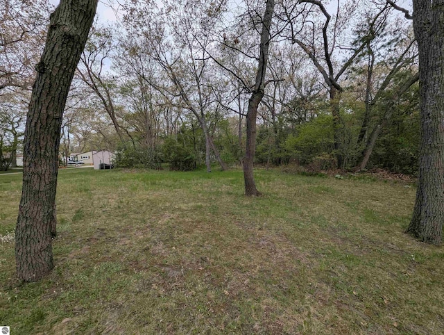 1082 S Sixth St, Au Gres, MI 48703 - view of grassy yard featuring a wooded view