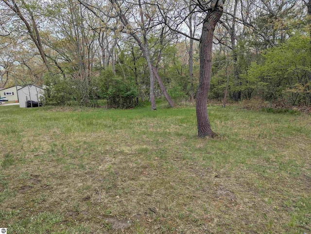 1082 S Sixth St, Au Gres, MI 48703 - view of yard featuring a wooded view