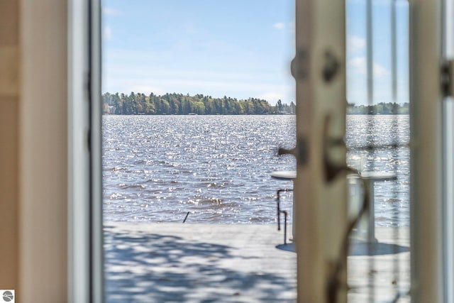 3151 W Lake Mitchell Dr, Cadillac, MI 49601 - water view