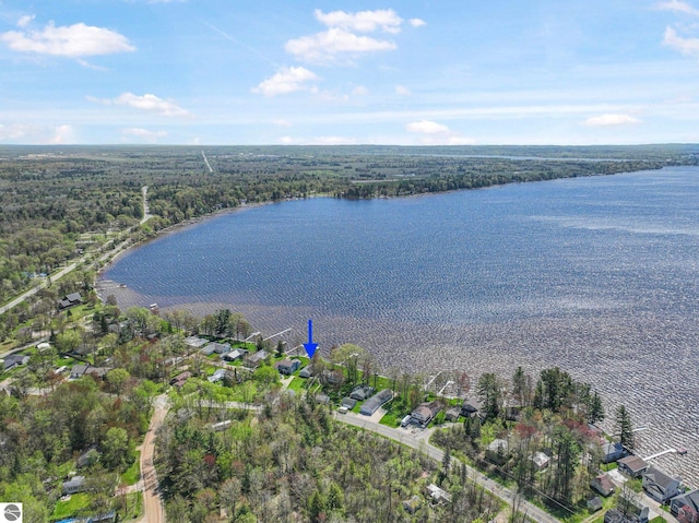3151 W Lake Mitchell Dr, Cadillac, MI 49601 - aerial view of property's location featuring a nearby body of water, nearby suburban area, and a forest