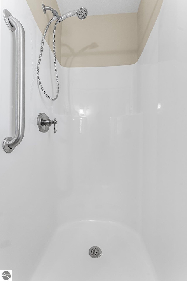 3151 W Lake Mitchell Dr, Cadillac, MI 49601 - bathroom view of a shower
