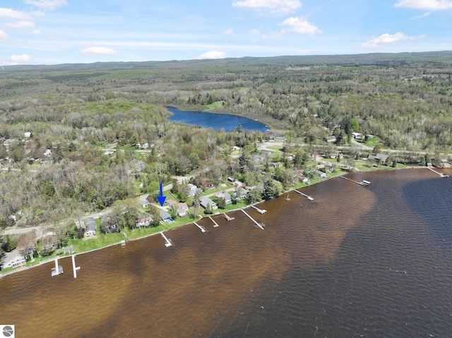 3151 W Lake Mitchell Dr, Cadillac, MI 49601 - view of property location featuring a forest and a large body of water