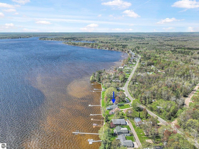 3151 W Lake Mitchell Dr, Cadillac, MI 49601 - aerial overview of property's location featuring a heavily wooded area and a large body of water