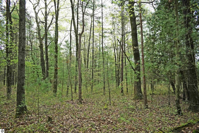0 Schill Rd, East Tawas, MI 48730