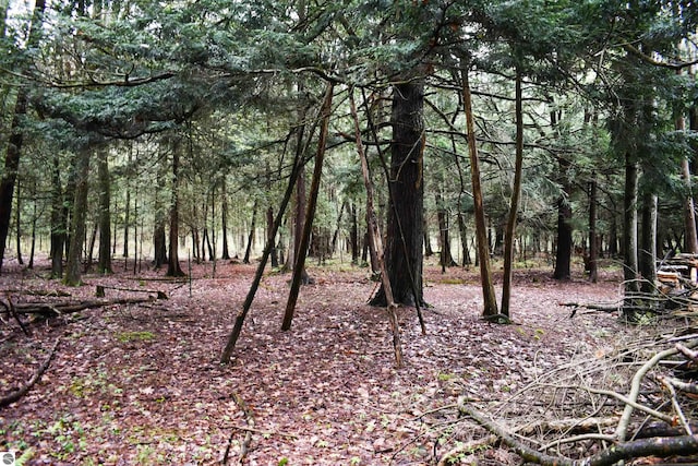 0 Schill Rd, East Tawas, MI 48730
