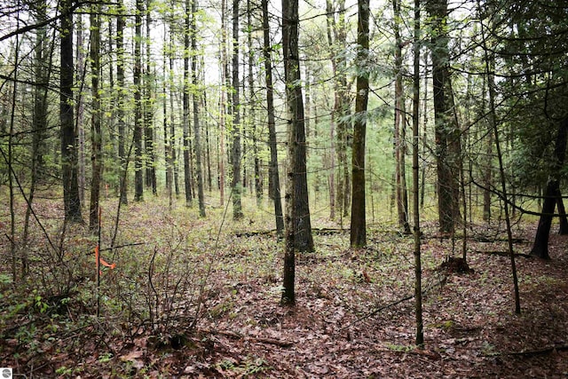 0 Schill Rd, East Tawas, MI 48730