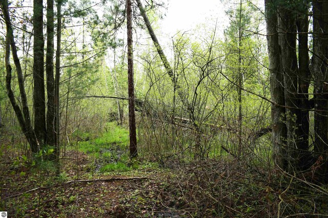 0 Schill Rd, East Tawas, MI 48730