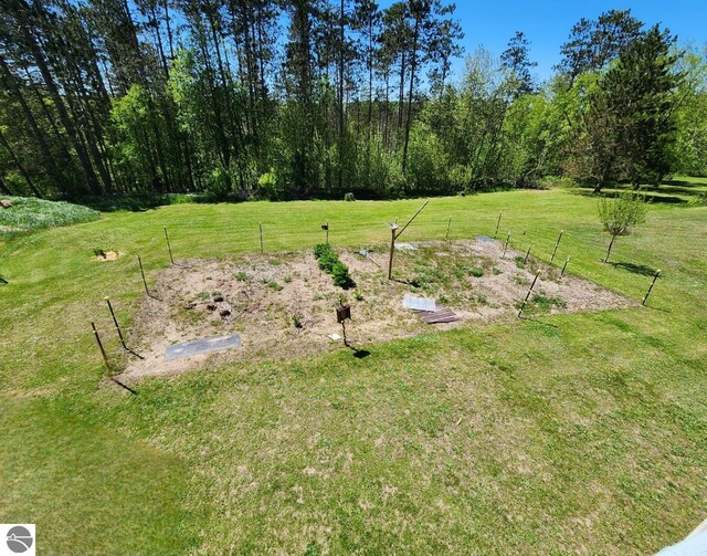 6878 Boss Rd, Ellsworth, MI 49727 - view of yard