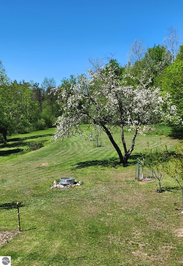 6878 Boss Rd, Ellsworth, MI 49727 - view of grassy yard