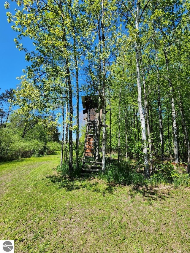 6878 Boss Rd, Ellsworth, MI 49727 - view of grassy yard