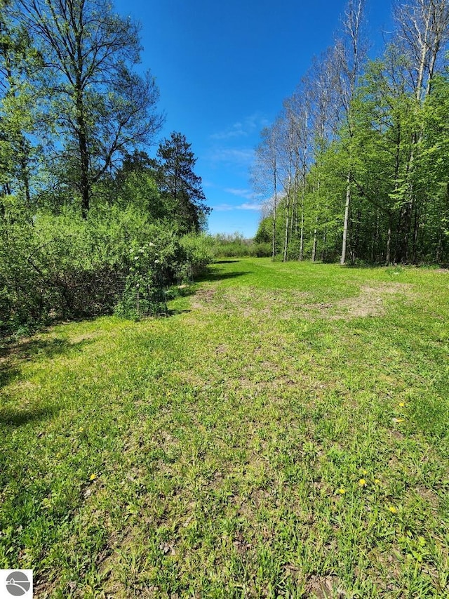 6878 Boss Rd, Ellsworth, MI 49727 - view of grassy yard