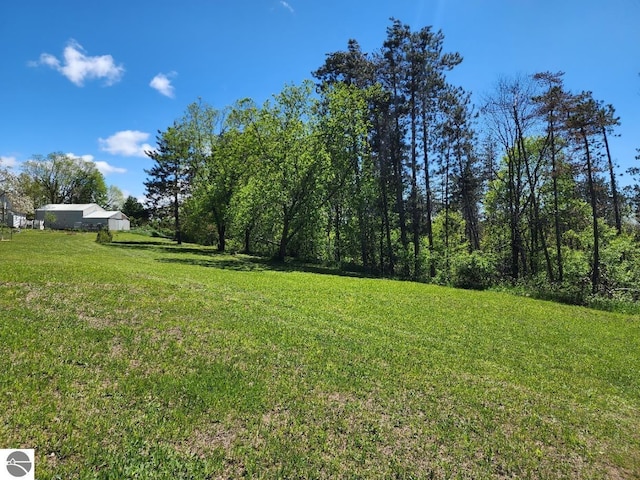 6878 Boss Rd, Ellsworth, MI 49727 - view of green lawn