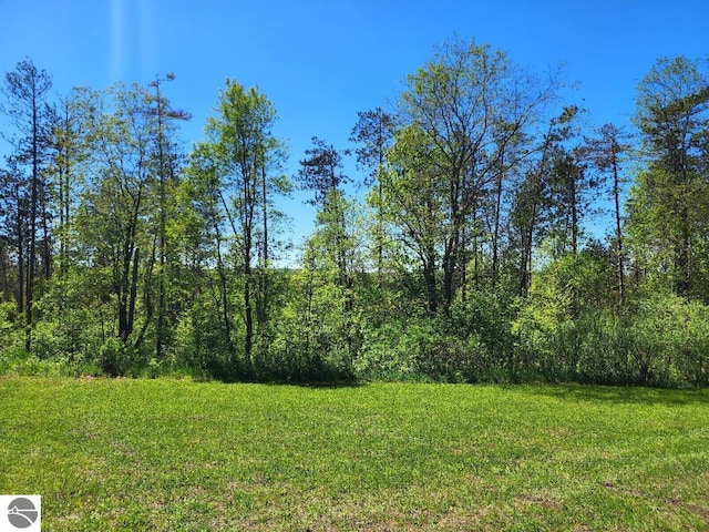 6878 Boss Rd, Ellsworth, MI 49727 - view of grassy yard