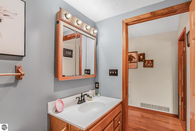 8281 M-66, Fife Lake, MI 49633 - bathroom with vanity and wood finished floors