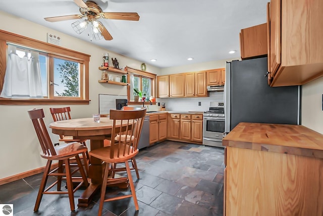 8281 M-66, Fife Lake, MI 49633 - kitchen featuring stainless steel appliances, under cabinet range hood, light brown cabinets, ceiling fan, and a sink