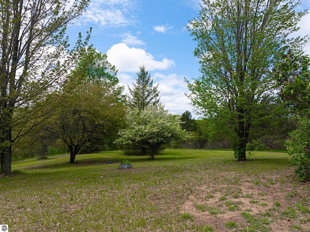 8281 M-66, Fife Lake, MI 49633 - view of green lawn