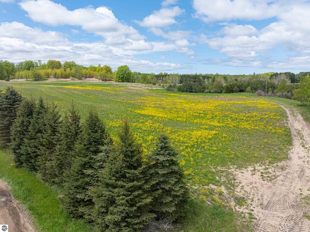 8281 M-66, Fife Lake, MI 49633 - overview of rural landscape