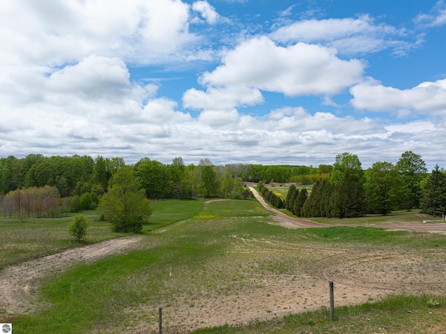 8281 M-66, Fife Lake, MI 49633 - view of community