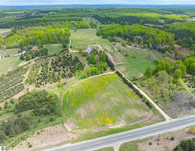 8281 M-66, Fife Lake, MI 49633 - aerial overview of property's location featuring rural landscape and a forest