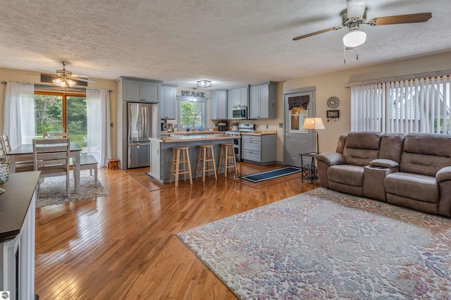 605 E M-55, West Branch, MI 48661 - living area featuring ceiling fan, a textured ceiling, light wood-style floors, and healthy amount of natural light