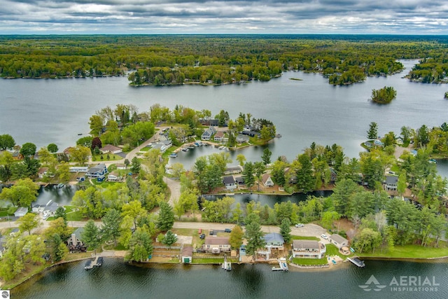 1929 Mohawk Trl, West Branch, MI 48661 - drone / aerial view of a heavily wooded area and a large body of water