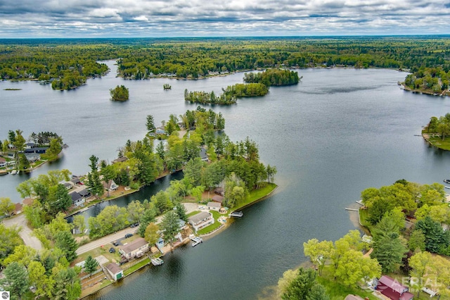 1929 Mohawk Trl, West Branch, MI 48661 - aerial view of a heavily wooded area and a large body of water
