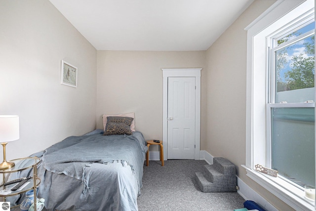 832 Wallace St, Cadillac, MI 49601 - view of carpeted bedroom