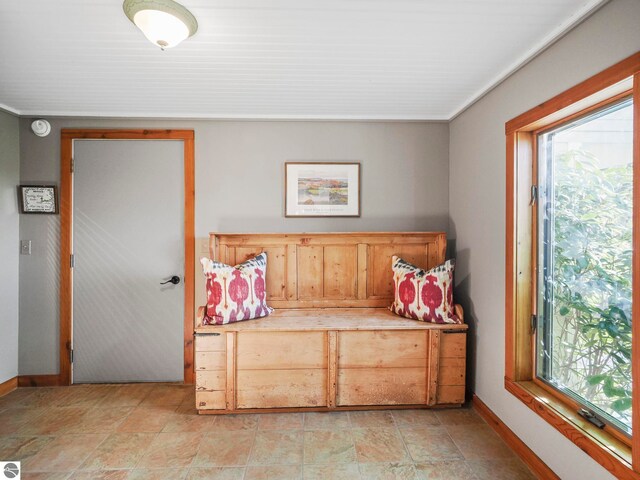 1321 N Manitou Trl, Leland, MI 49654 - bedroom featuring baseboards, multiple windows, and light stone finish floors