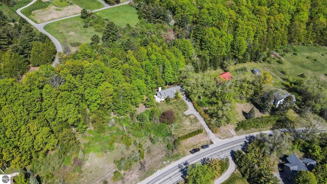 1321 N Manitou Trl, Leland, MI 49654 - bird's eye view
