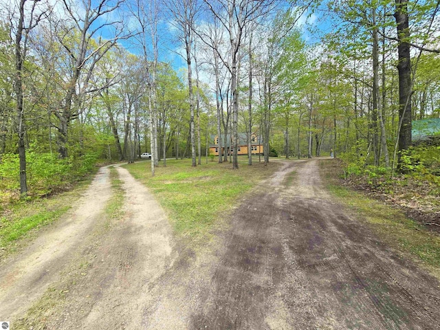 1470 N Al Moses Rd, Lake City, MI 49651 - view of dirt / gravel driveway featuring a wooded view