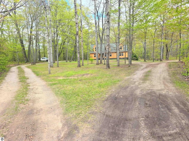 1470 N Al Moses Rd, Lake City, MI 49651 - view of dirt / gravel driveway featuring a view of trees