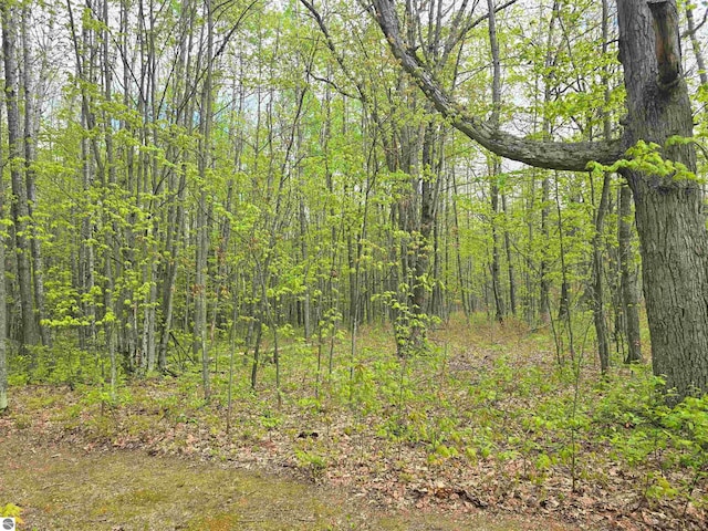 1470 N Al Moses Rd, Lake City, MI 49651 - view of woods