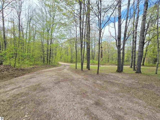 1470 N Al Moses Rd, Lake City, MI 49651 - view of dirt / gravel road featuring a view of trees