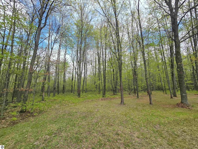 1470 N Al Moses Rd, Lake City, MI 49651 - view of yard featuring a forest view