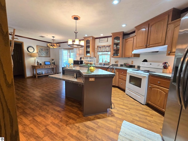 1470 N Al Moses Rd, Lake City, MI 49651 - kitchen featuring white range with electric stovetop, under cabinet range hood, stainless steel fridge, light wood-style floors, and a center island