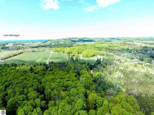 TBD E Bodus Rd, Cedar, MI 49621