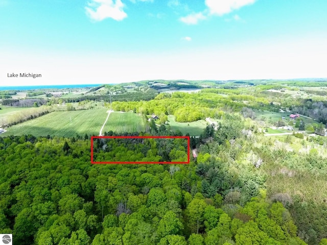 TBD E Bodus Rd, Cedar, MI 49621
