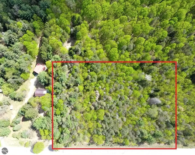 TBD E Bodus Rd, Cedar, MI 49621