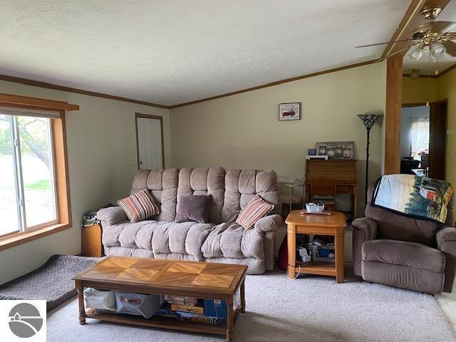 10559 Rosted Rd, Lake City, MI 49651 - carpeted living room with ceiling fan, ornamental molding, and vaulted ceiling