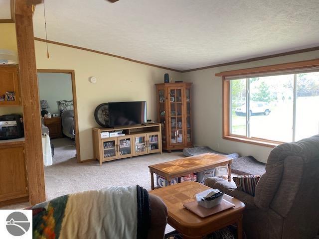 10559 Rosted Rd, Lake City, MI 49651 - living room with light colored carpet, vaulted ceiling, ornamental molding, and a textured ceiling