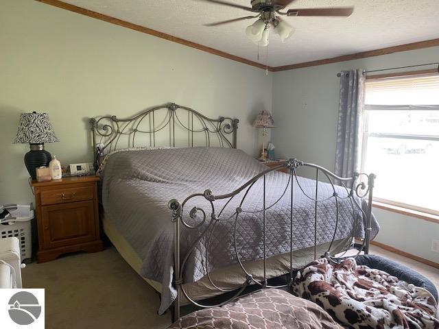 10559 Rosted Rd, Lake City, MI 49651 - bedroom with multiple windows, carpet flooring, crown molding, and a ceiling fan