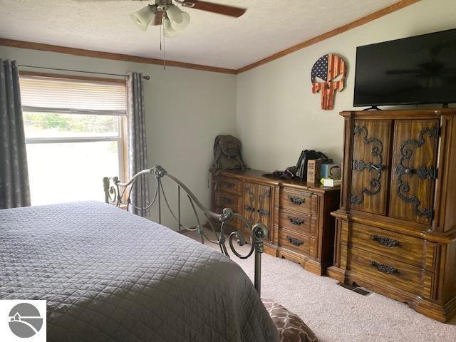 10559 Rosted Rd, Lake City, MI 49651 - carpeted bedroom with ornamental molding, ceiling fan, and a textured ceiling