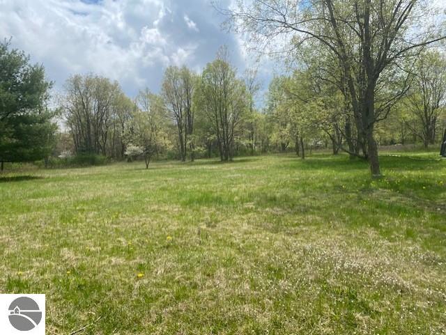 10559 Rosted Rd, Lake City, MI 49651 - view of grassy yard