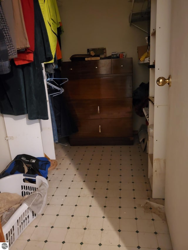 1148 Horseshoe Dr, Alger, MI 48610 - spacious closet featuring light floors