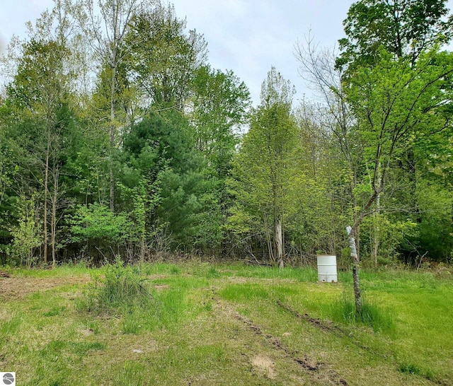 1148 Horseshoe Dr, Alger, MI 48610 - view of woods