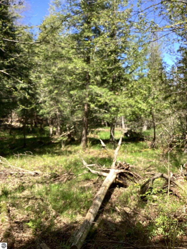 00V/L Honor Hwy, Interlochen, MI 49643